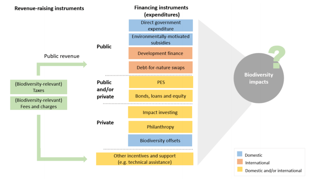 An initial conceptual framework for biodiversity finance and other types of incentives and support.  